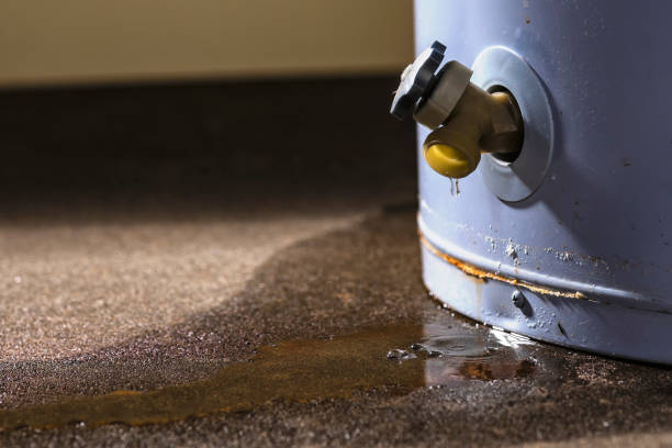 Best Flooded house restoration  in Piney Green, NC