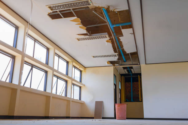Best Flood damage cleanup  in Piney Green, NC