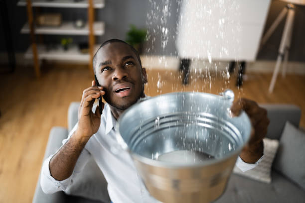 Best Water damage restoration near me  in Piney Green, NC
