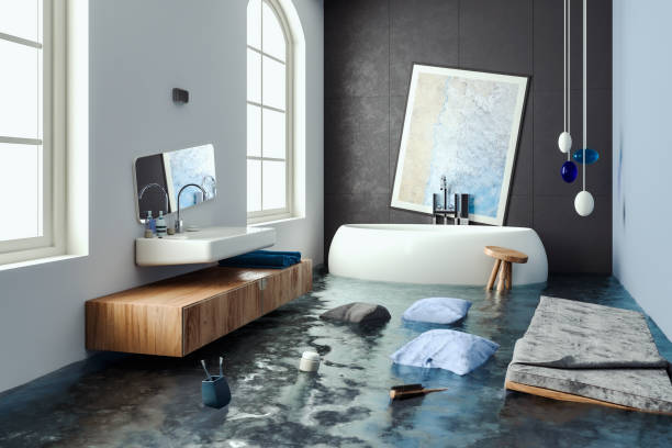 Best Professional water damage repair  in Piney Green, NC
