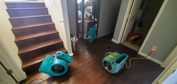 Best Local water damage restoration  in Piney Green, NC