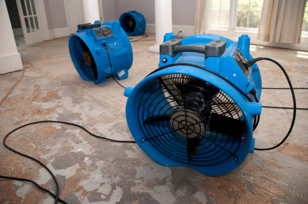 Best Basement water damage restoration  in Piney Green, NC
