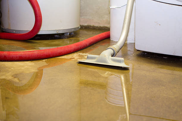 Best Water damage contractors near me  in Piney Green, NC