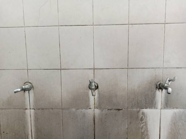 Best Water damage restoration near me  in Piney Green, NC