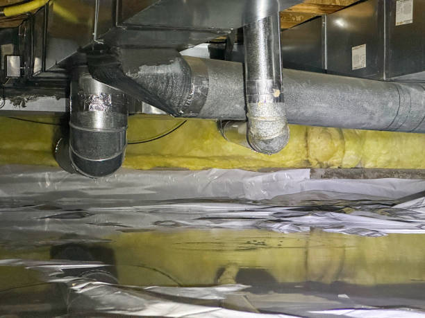 Best Sewage cleanup and water damage restoration  in Piney Green, NC