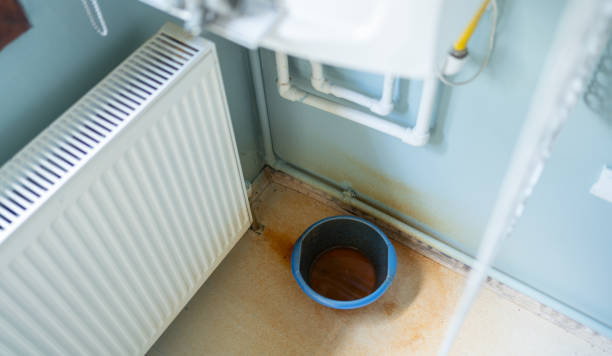 Best Water damage cleanup near me  in Piney Green, NC